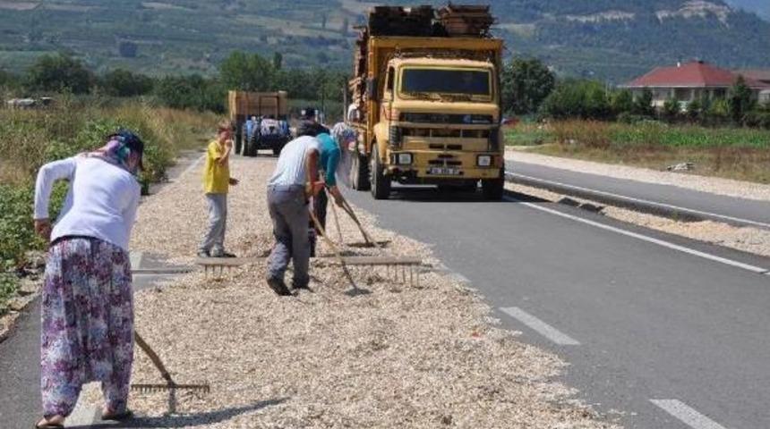 Ayçekirdeği Kurutmak Için Çevreyolunu Birer Şeridini Kapattılar