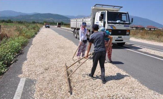 Ayçekirdeği Kurutmak Için Çevreyolunu Birer Şeridini Kapattılar