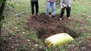 Fındık Üreticilerinden İlginç Protesto
