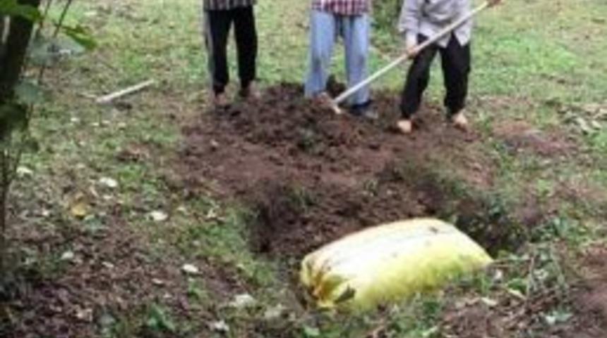 Fındık Üreticilerinden İlginç Protesto