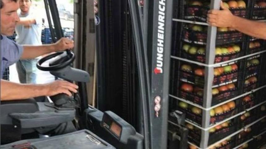 &Ccedil;ameli Domatesinin Pazarı Genişliyor