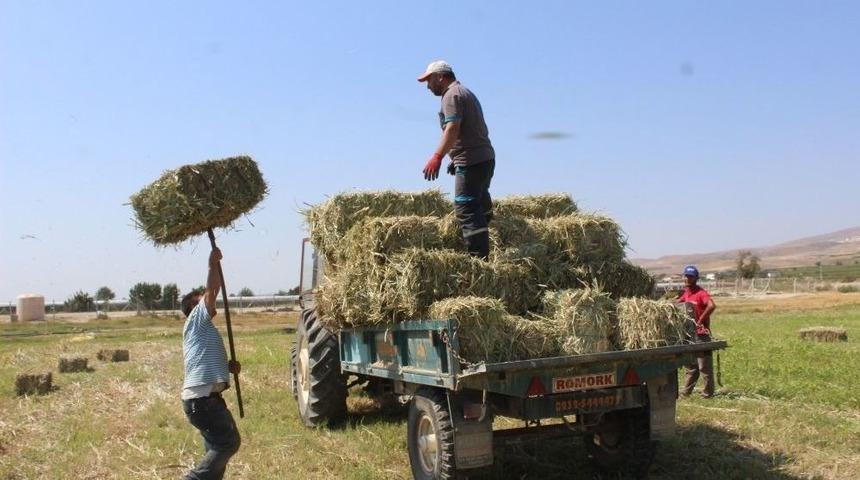 Alaşehir Belediyesi&rsquo;nden Hayvan &Uuml;reticilerine Destek