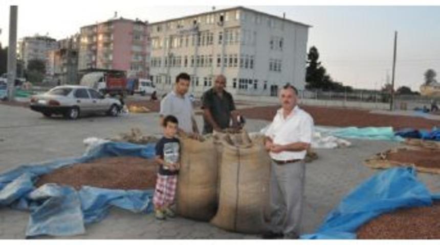 Emniyet Ve Jandarma Fındık Hırsızlığına Karşı Vatandaşı Uyardı