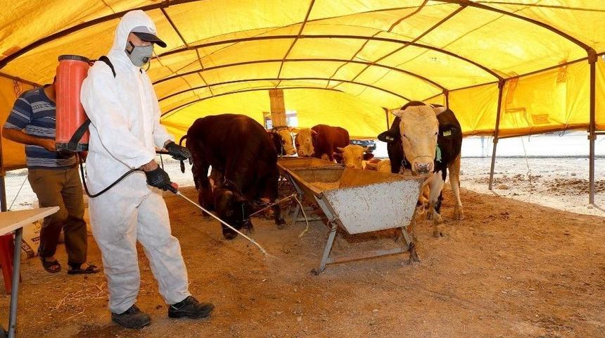 Talas&rsquo;ta Kurban Pazar Yerleri İla&ccedil;landı