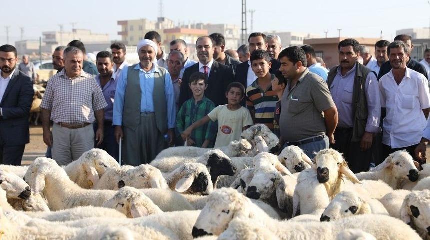 &Ccedil;ift&ccedil;i Hayvan Pazarında Satıcıları Dinledi