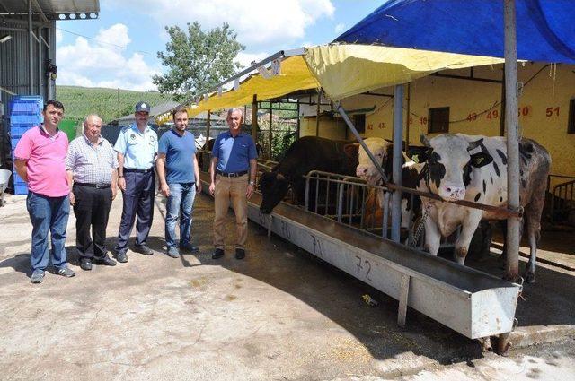 Kartepe’de Kurban Bayramı Denetimi Hızlandı