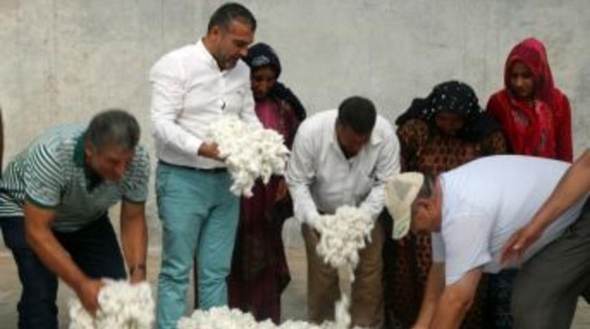 Pamuk T&uuml;kenince Borsada İşlemler Durdu