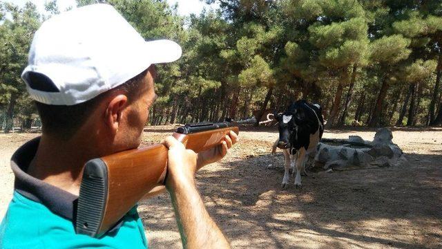 Gaziantep’te Drone’li Kurban Yakalama Timi