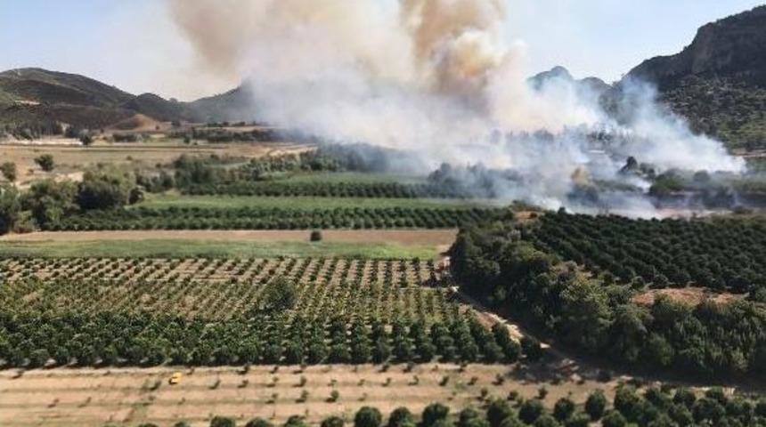 Antalya'da Orman Yangını (1)