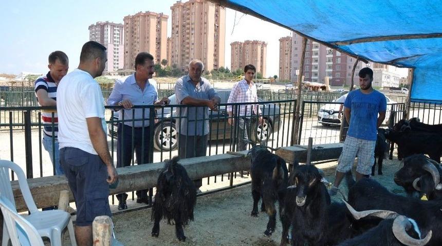 Toroslar’da Kurban Kesim Ve Satış Yeri Belirlendi