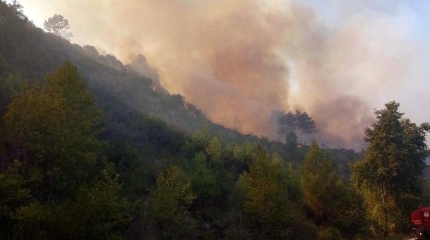 Antalya&rsquo;da Orman Yangını