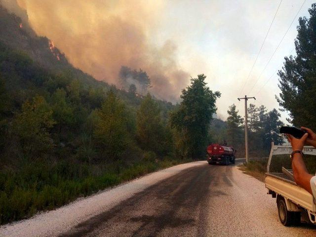 Antalya’da Orman Yangını