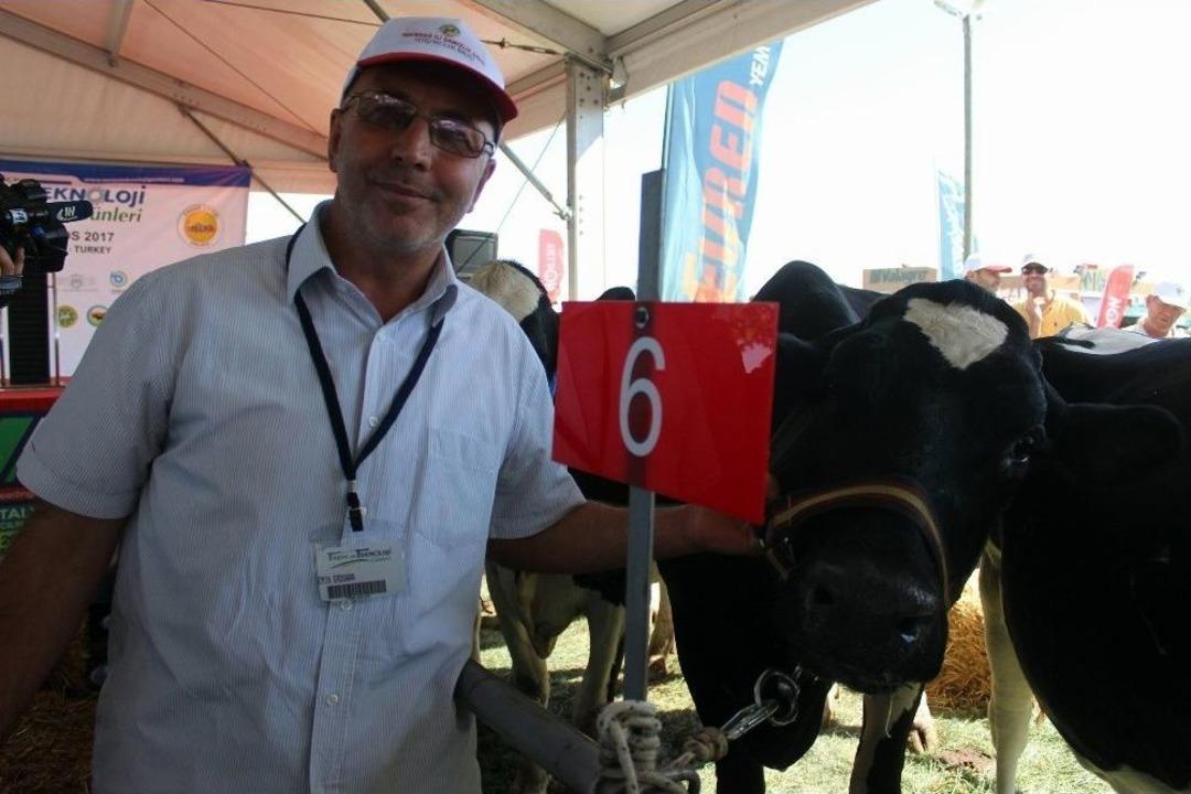 Trakya&rsquo;nın En G&uuml;zel İnekleri Se&ccedil;ildi