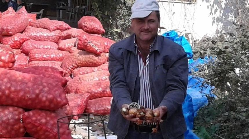 Soğan Y&uuml;z G&uuml;ld&uuml;rd&uuml;