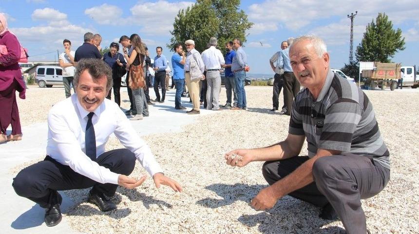 Artık Yollarda Ay&ccedil;i&ccedil;eği Kurutmayacaklar