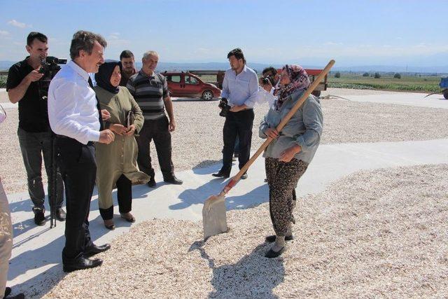 Artık Yollarda Ayçiçeği Kurutmayacaklar