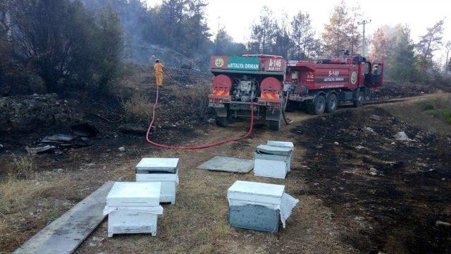 Antalya’da Orman Yangını Devam Ediyor