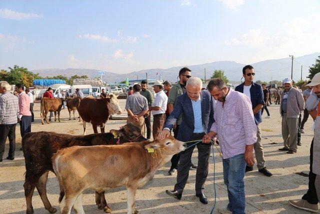 Erzincan Belediyesi Kurban Bayramına Hazır