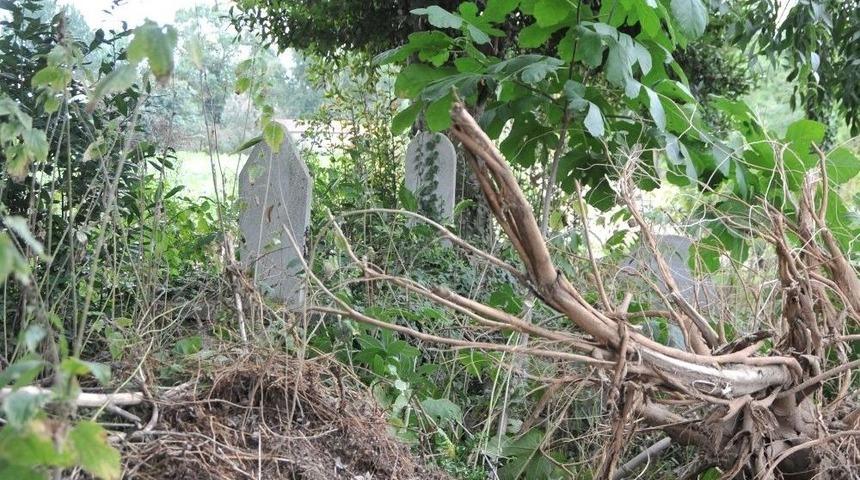 Yanlıştan D&ouml;n&uuml;ld&uuml;