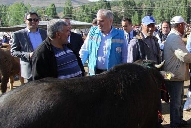 Bayburt’ta Kurban Bayramı Heyecanı