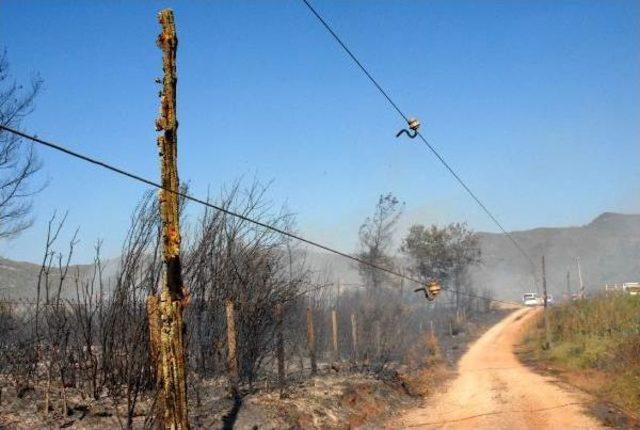 Antalya'da Orman Yangını (3)