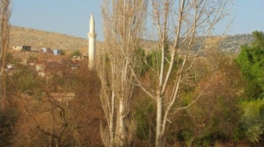 Araban&rsquo;da Susuz Kalan Ağa&ccedil;lar Kuruyor