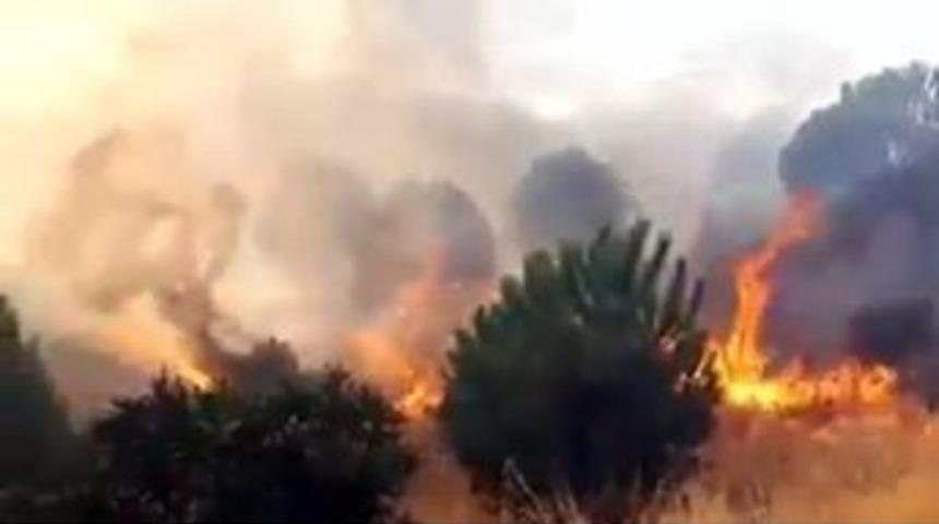 İzmir&rsquo;de Makilik Alanda Yangın