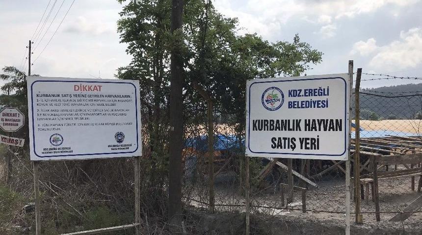 Kdz. Ereğli Belediyesi, Kurban Kesim Fiyatlarını Ve Satış Yerlerini Belirledi