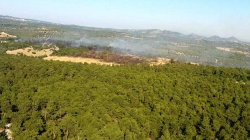&Ccedil;anakkale&rsquo;de Orman Yangını Kontrol Altına Alındı