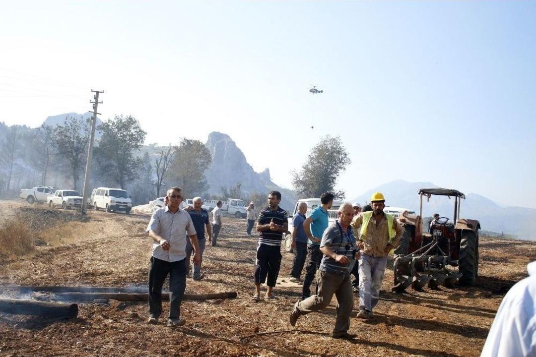 Antalya&rsquo;daki Yangında Y&uuml;zlerce Arı Kovanı Ve Bir Ev K&uuml;l Oldu