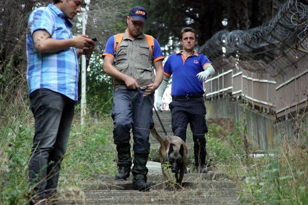 Ormandan Gelen &ldquo;imdat&rdquo; &Ccedil;ığlıkları Polis Ve Afad&rsquo;ı Harekete Ge&ccedil;irdi