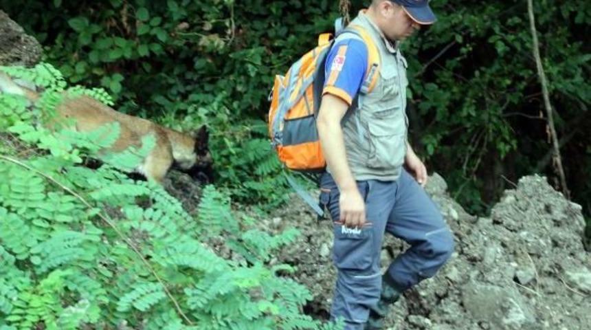 Ormandan Gelen Kadın &Ccedil;ığlığı, Polis Ve Afad'ı Alarma Ge&ccedil;irdi