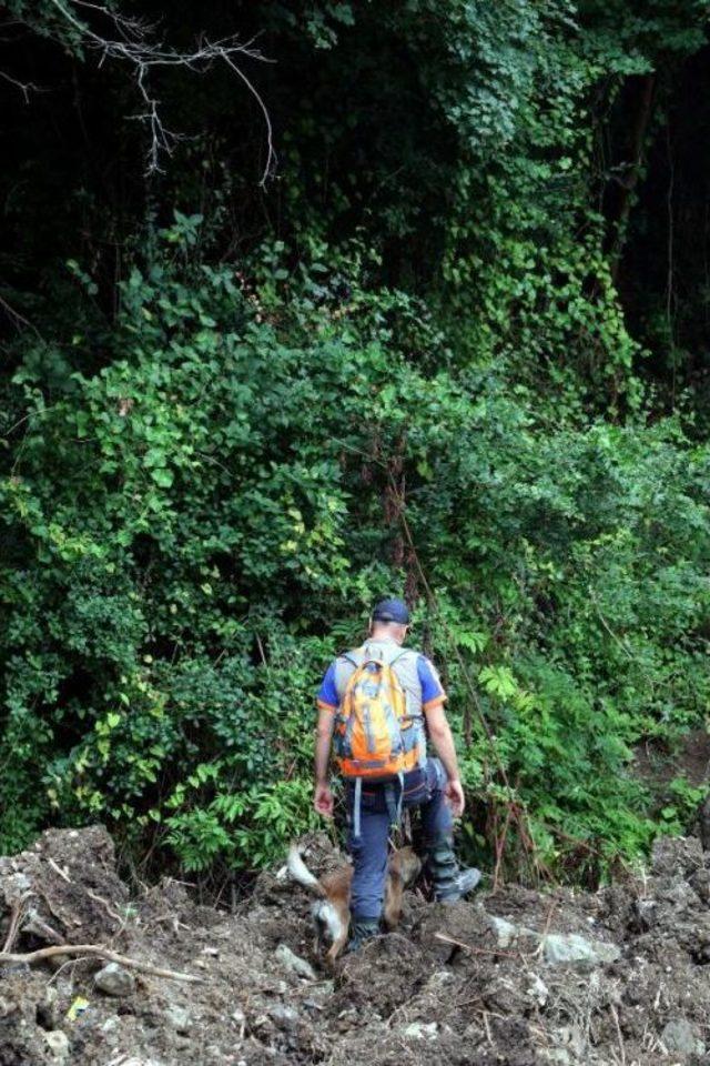 Ormandan Gelen Kadın &Ccedil;ığlığı, Polis Ve Afad ı Alarma Ge&ccedil;irdi 1