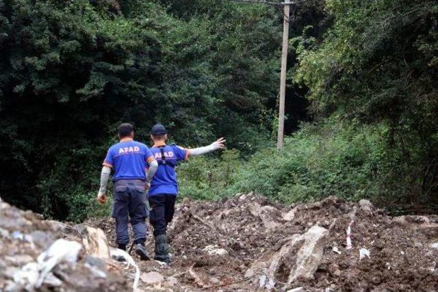 Ormandan Gelen Kadın &Ccedil;ığlığı, Polis Ve Afad ı Alarma Ge&ccedil;irdi 2
