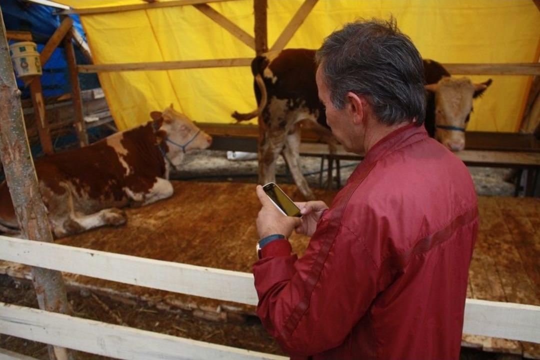 Akıllı Telefonla Kurban Se&ccedil;me D&ouml;nemi