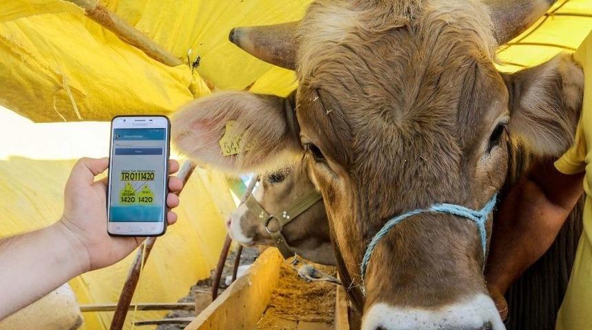 Sincan Belediyesi&rsquo;nden Akıllı Telefonlara Kurban Uygulaması