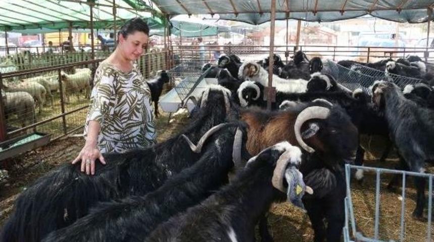 Marketlere Kurbanlık Eleştirisi