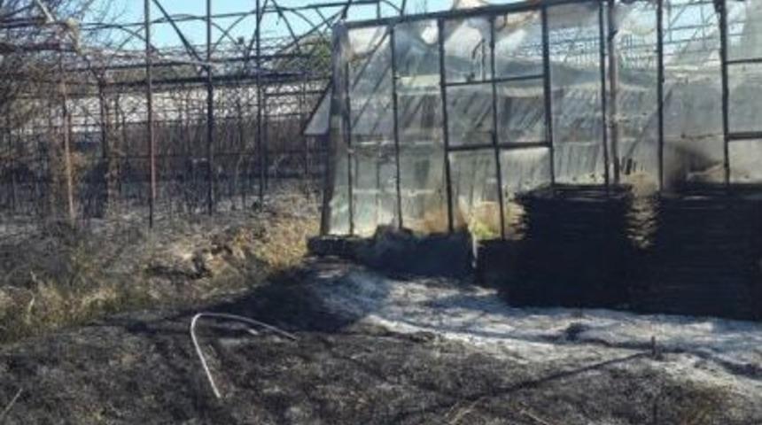 Antalya&rsquo;da &Ccedil;ıkan Yangında 7 Sera Zarar G&ouml;rd&uuml;