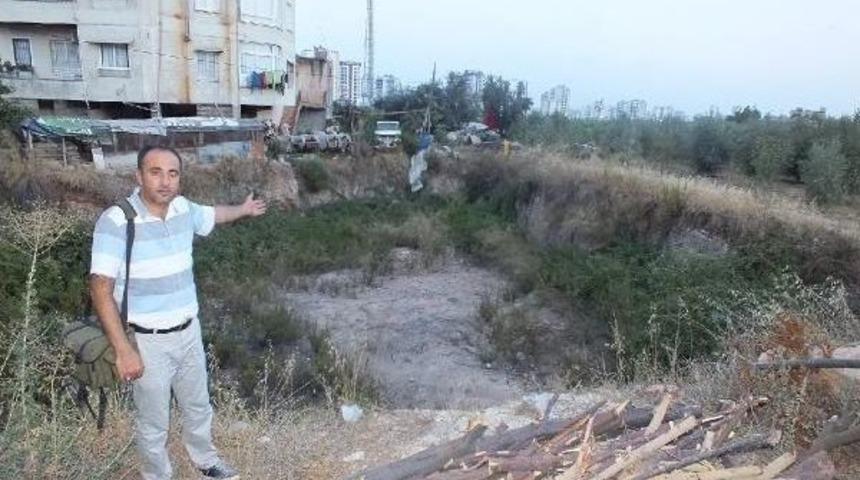 Antik Mezarlara Sahip &Ccedil;ıkılmadı, Bin 800 Yıllık Tarih Otlarla Kaplandı