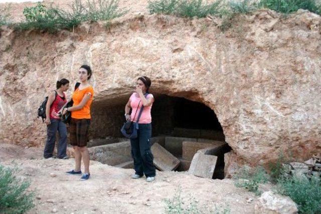 Antik Mezarlara Sahip Çıkılmadı, Bin 800 Yıllık Tarih Otlarla Kaplandı