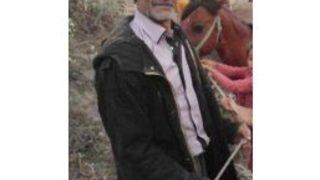 Kurbanlık Dana Sahibini Öldürdü