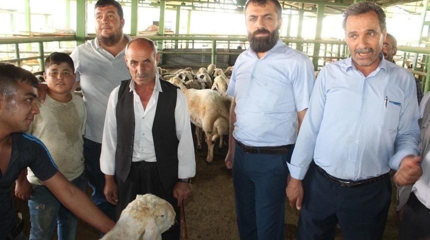 Kurbanlıklar Pazara İndi, Sahte Para Ve Karşılıksız &Ccedil;eke Dikkat