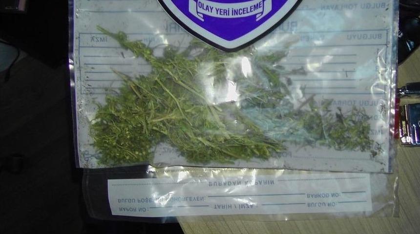 Tatvan&rsquo;da Uyuşturucu Operasyonu