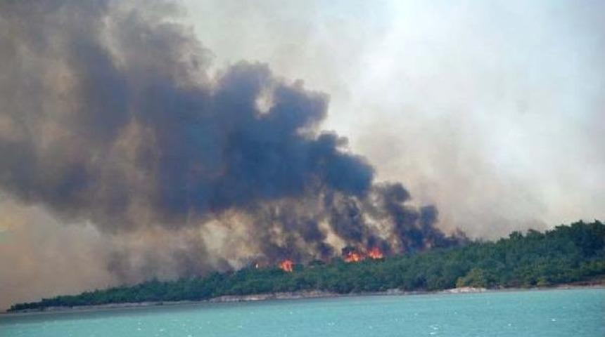 Orman Genel M&uuml;d&uuml;rl&uuml;ğ&uuml;: Ayvalık'ta Yanan O Alan Ağa&ccedil;landırılacak