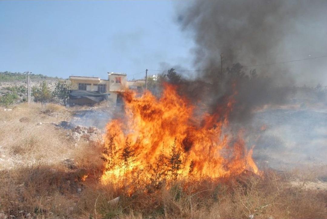 Silifke&rsquo;de R&uuml;zgarla Birlikte &Ccedil;ıkan Yangında Bir Hayvan Telef Oldu