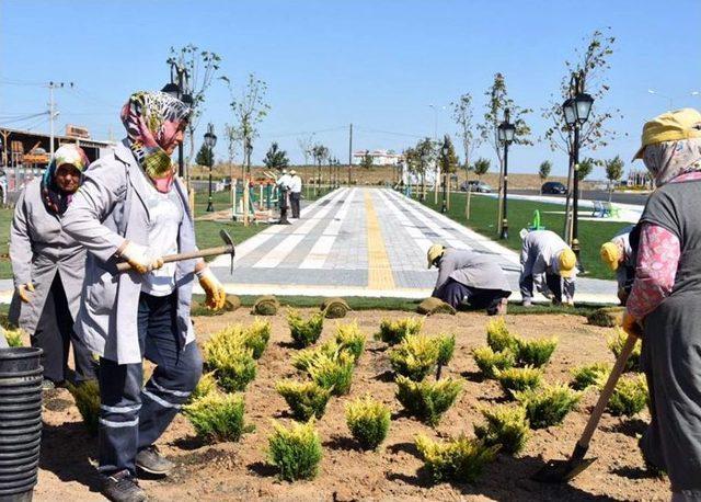 Başkan Kadir Albayrak Bülent Ecevit Parkı’nda İncelemede Bulundu