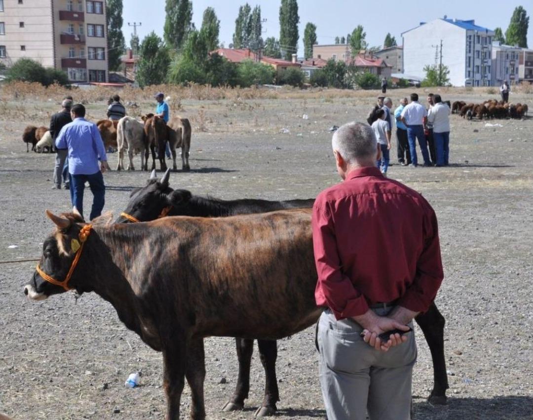 Kars&rsquo;ta Kurban Pazarı Kuruldu