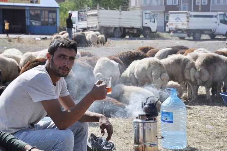 Kars’ta Kurban Pazarı Kuruldu G1