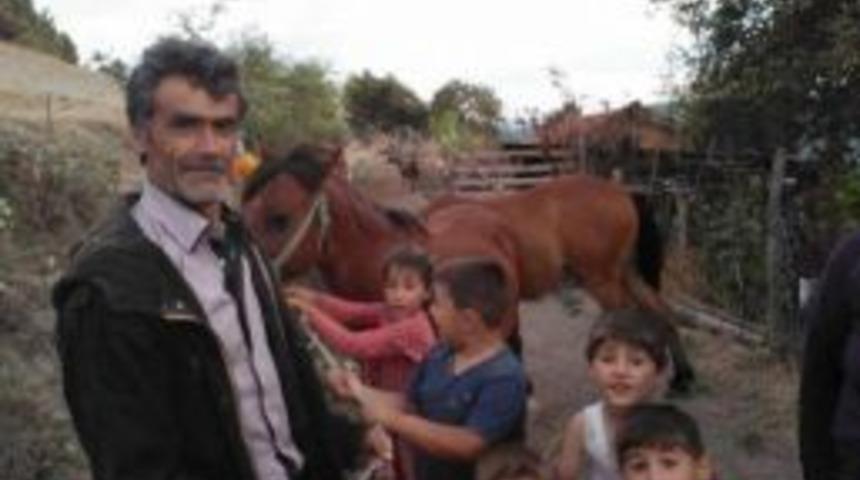 Kurbanlık Boğasının Boynuz Darbesiyle Öldü