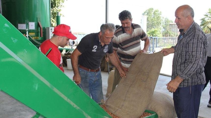 Yağmur, Fındık Kurutma Makinelerine Talebi Arttırdı